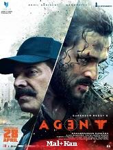 Agent (2023)  Full Movie Watch Online Free Download | TodayPk